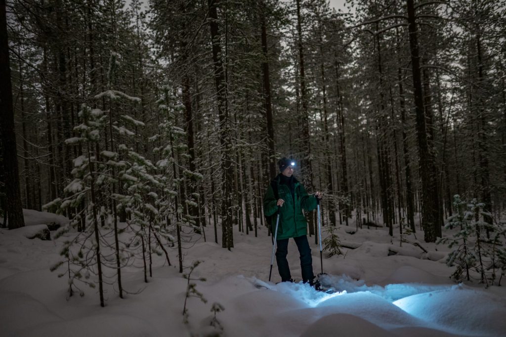 Ski Trekking under the Northern Lights