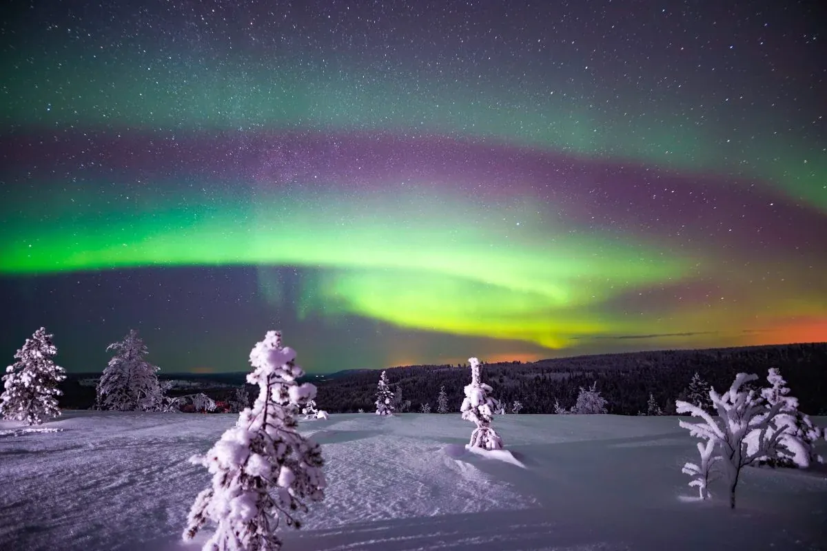 Northern lights arching above snow-covered trees and fells in Lapland