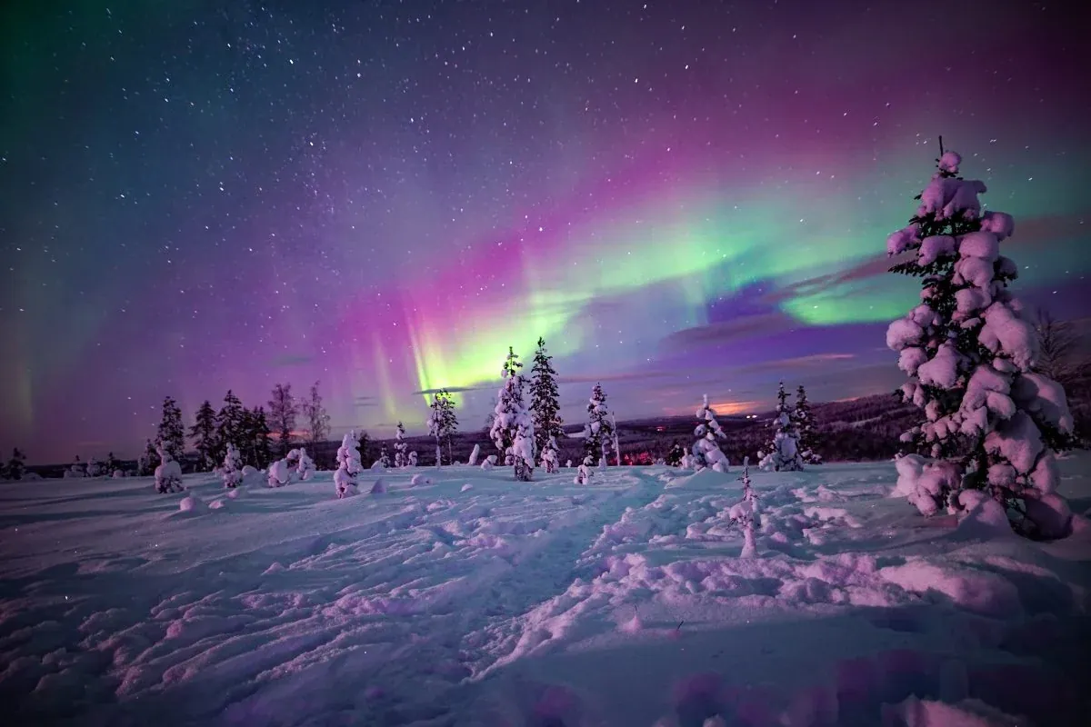 Northern Lights Wilderness Tour with Professional Camera