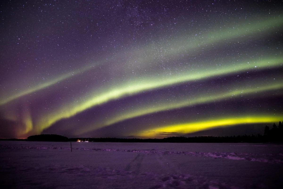 Northern lights Wild About Lapland Rovaniemi