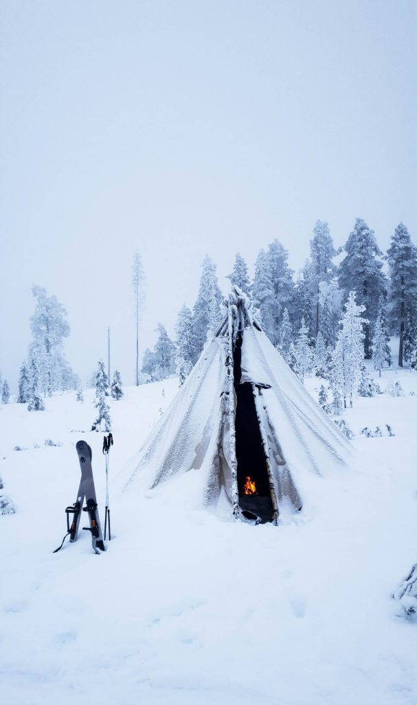 Ski trekking safari