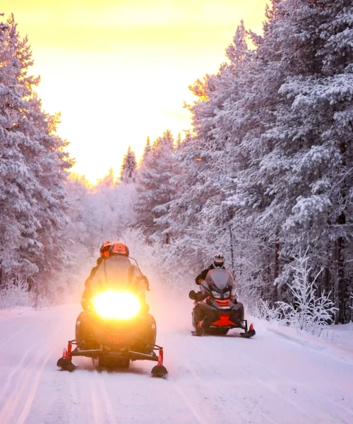 Short Snowmobile Safari