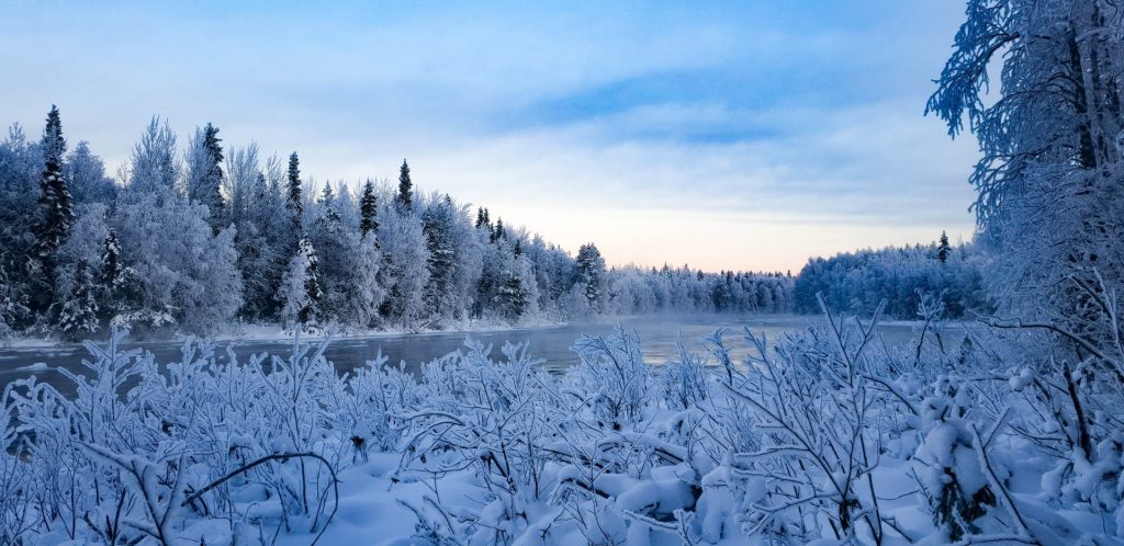 Snowshoeing in the Wilderness