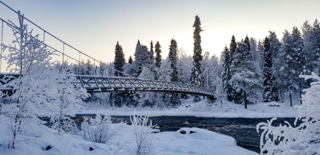 Snowshoeing in the Wilderness