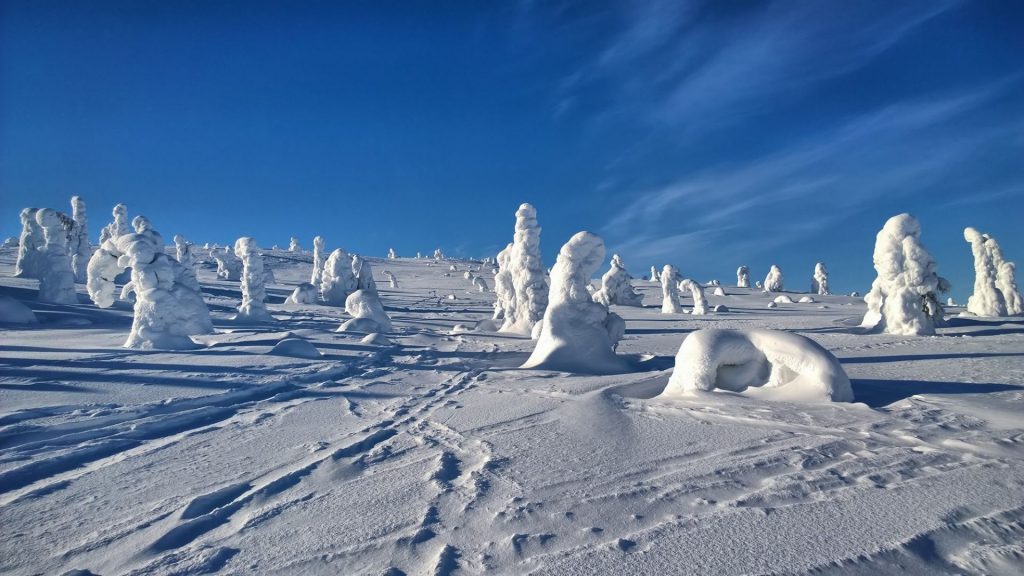 Riisitunturi National Park