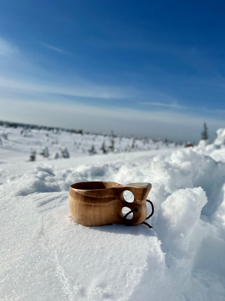 Riisitunturi National Park