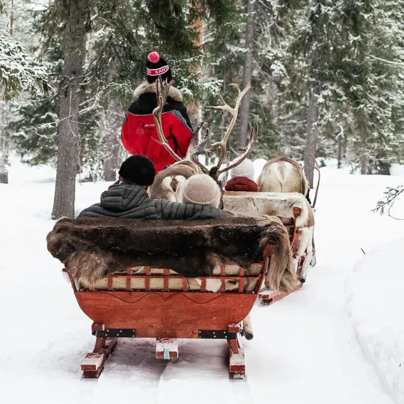 Family riding in a reindeer sleigh through a snowy Lapland forest