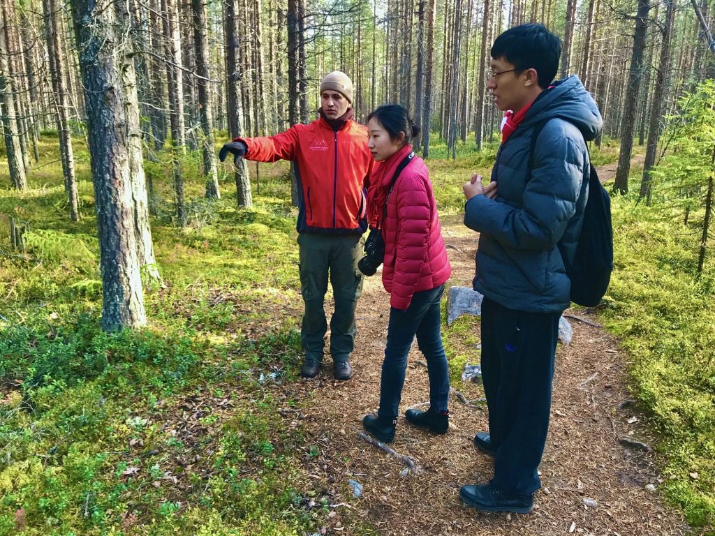 Wilderness Hike Summer