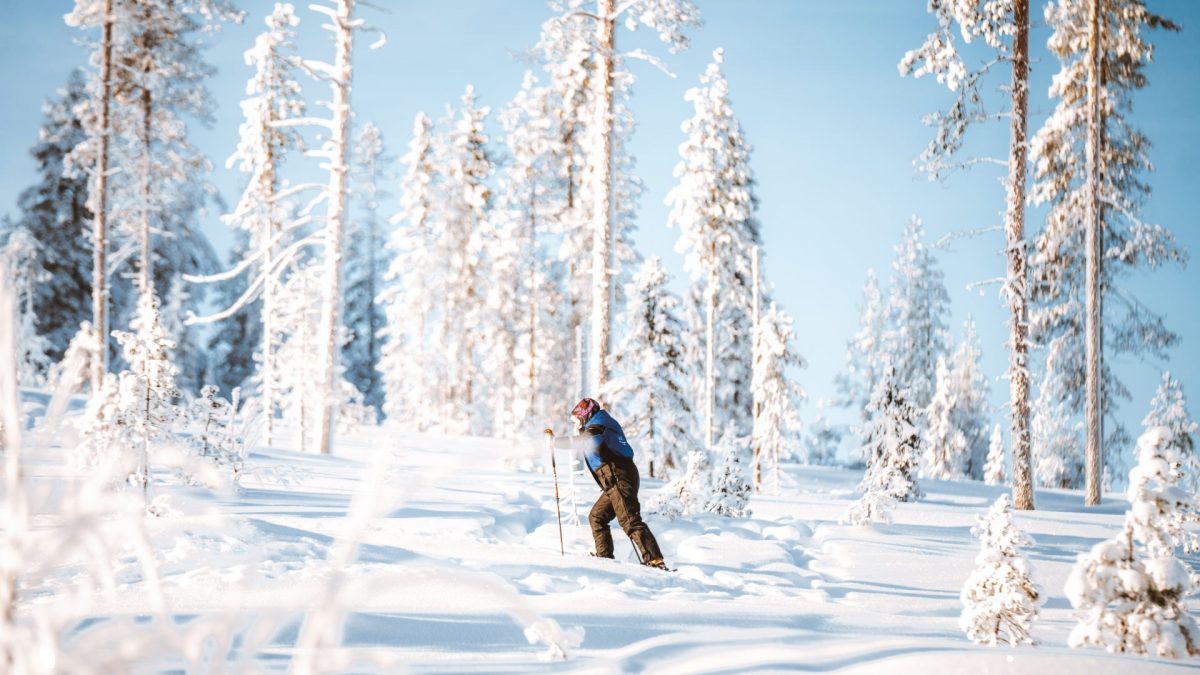 Skiing in Arctic wilderness