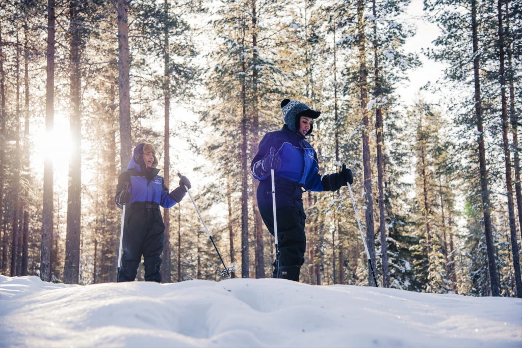 ski trekkers
