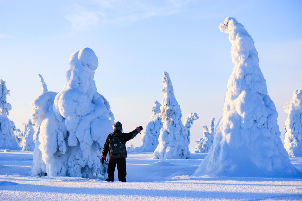 Exploring the hidden beauties of Riisitunturi National Park