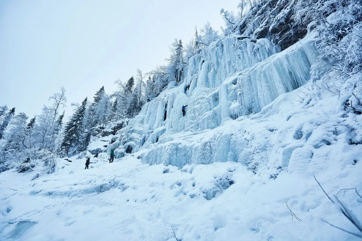 Wild About Lapland experience