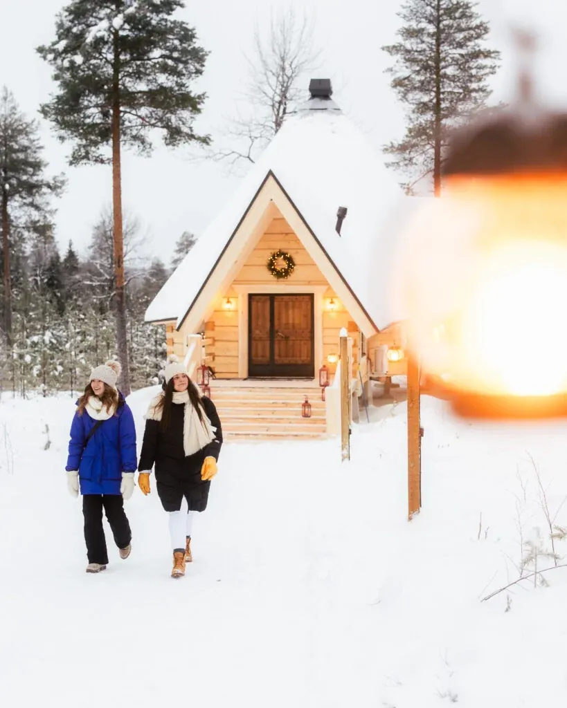 Daytime reindeer safari 3 hour wilderness experience in rovaniemi