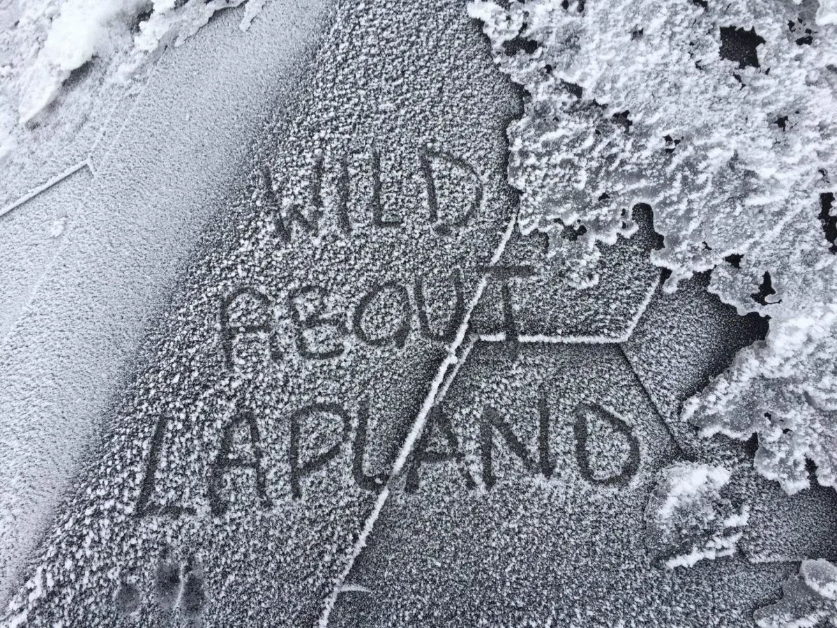 Rovaniemi, Wild About Lapland
