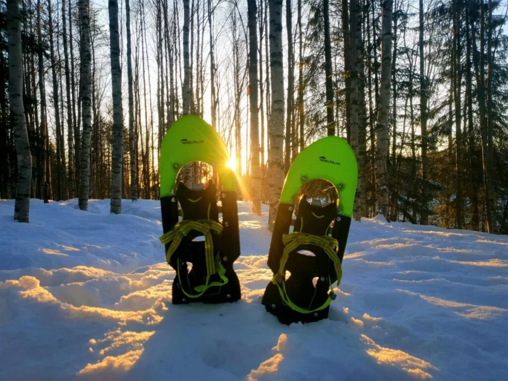 Lasikaton läpi näkyvä talvitaivas Rovaniemen lähellä