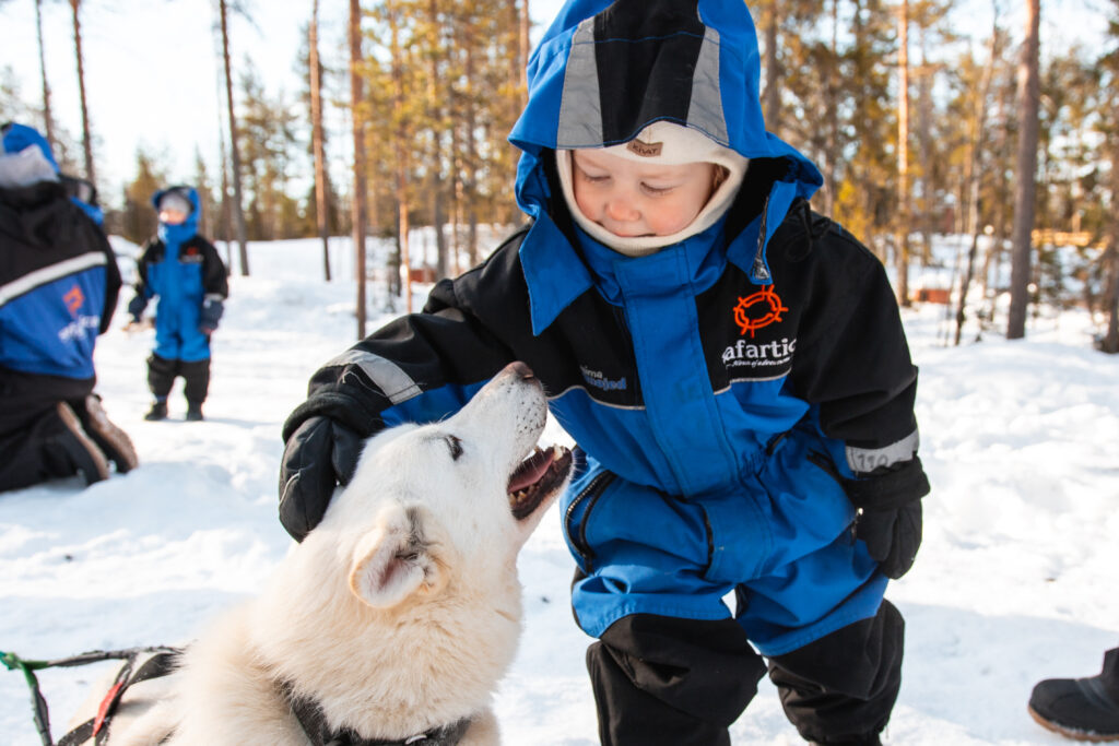 Wild Run - 5 km husky safari