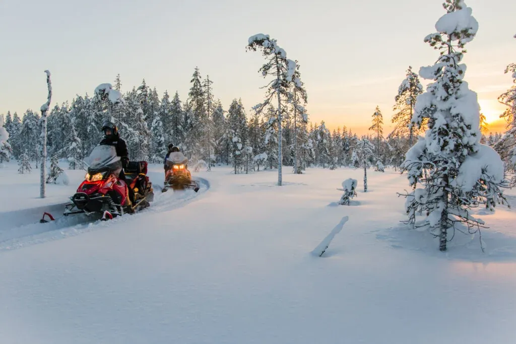 Easy snowmobile safari into the nature / Levi