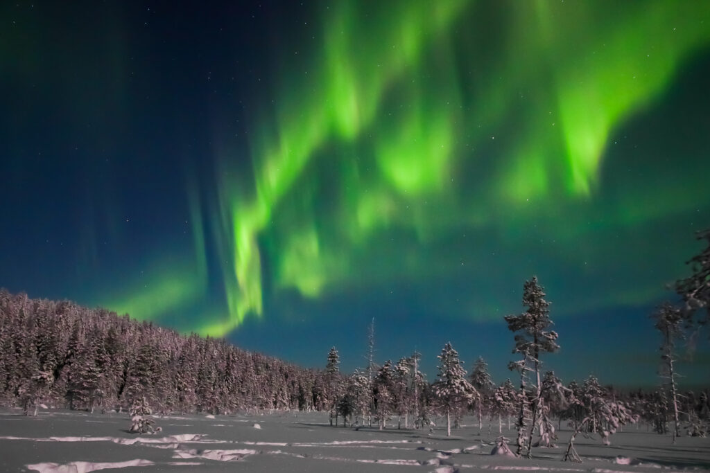 Northern Lights Campfire in Levi