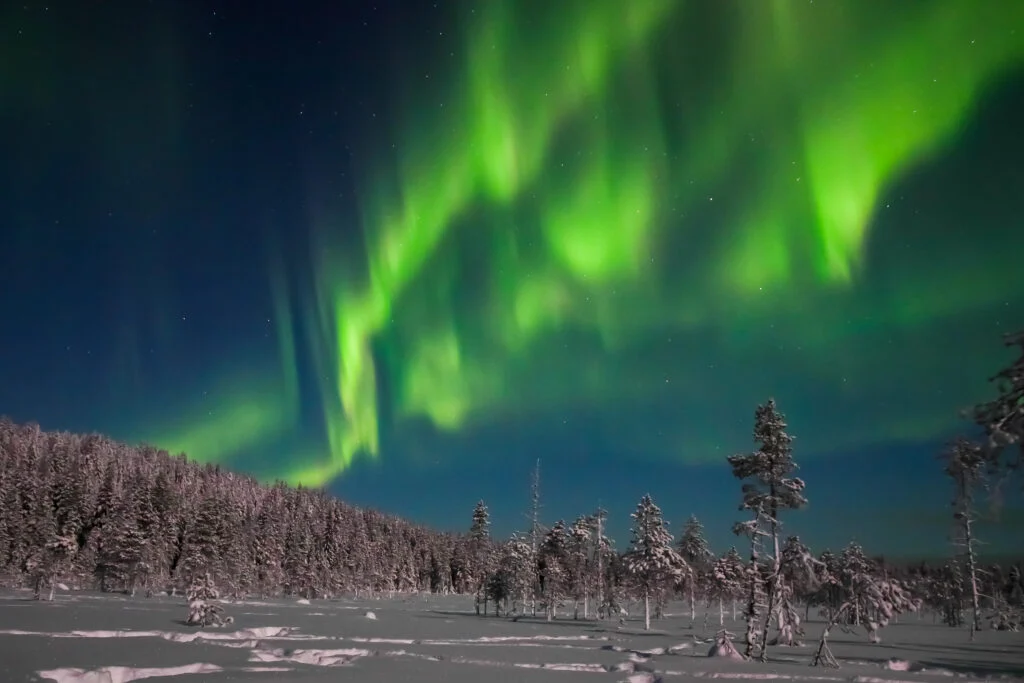 Northern Lights Campfire in Levi