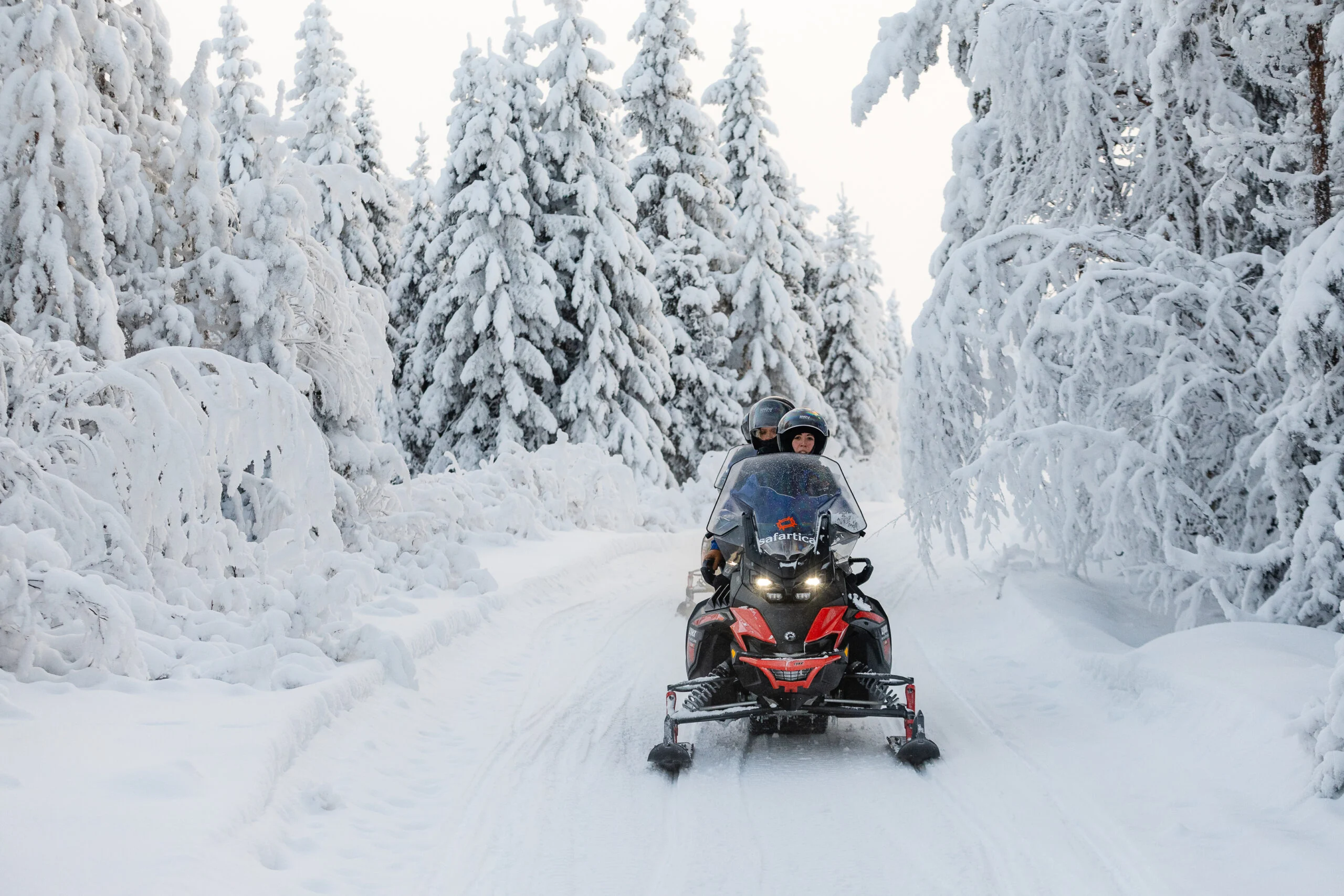 Guests riding snowmobiles through a snowy forest in Rovaniemi