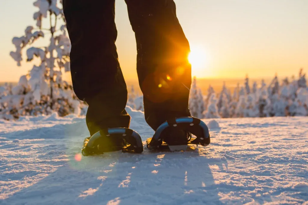 Scenic snowshoe trip in Levi