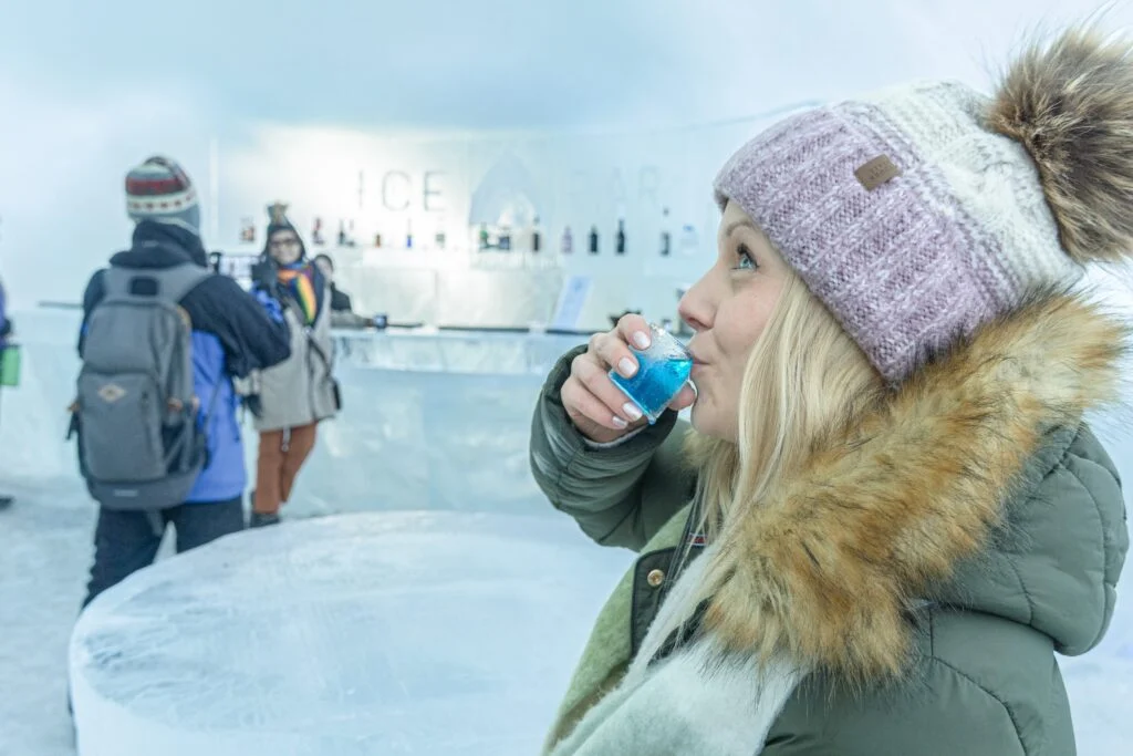 Visiting package: Introduction to Arctic SnowHotel with lunch at the Ice Restaurant